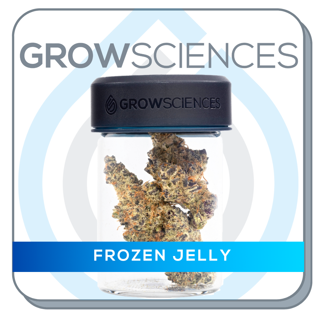 Frozen Jelly Grow Sciences Guest Flower Jane
