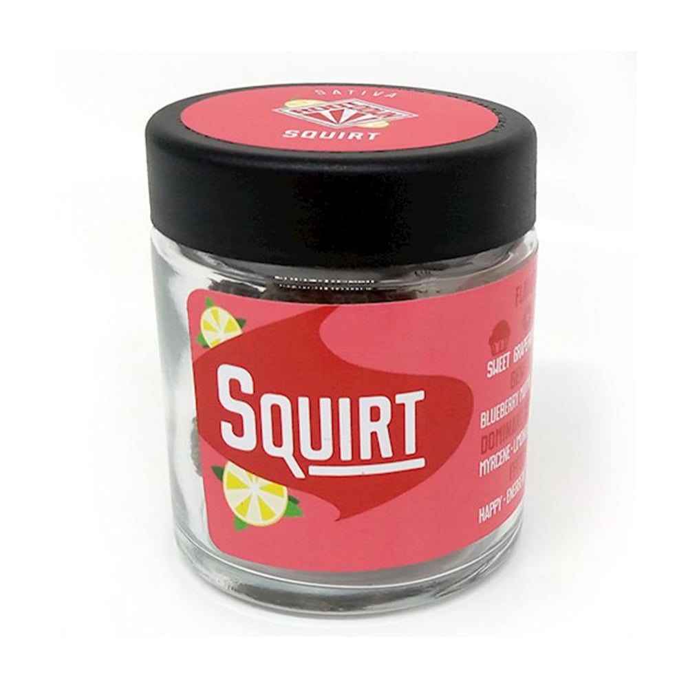 Squirt