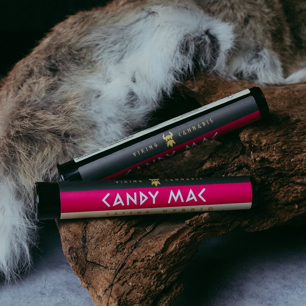 Candy MAC