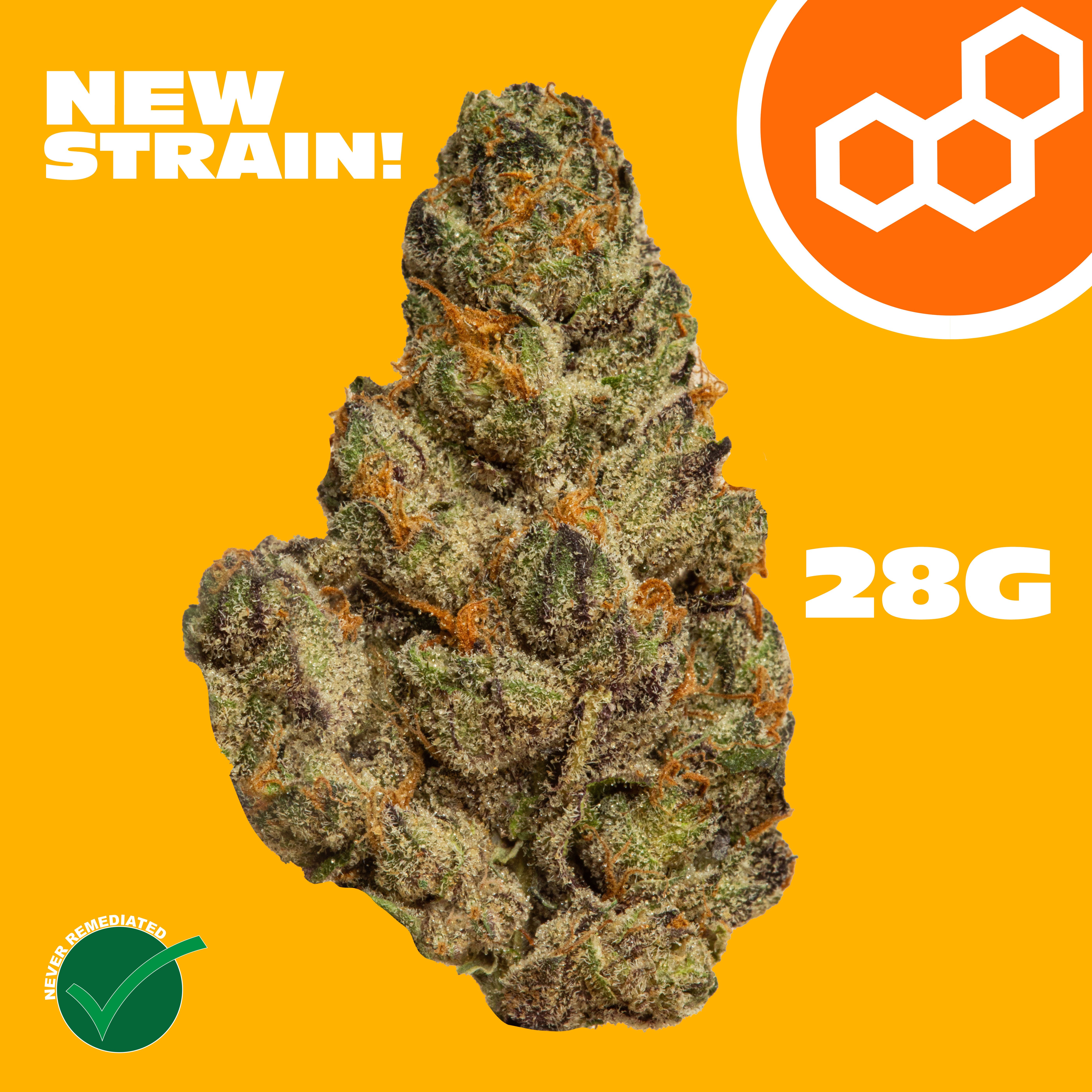 Theraplant - Super Charger (S) Flower  C0040001810