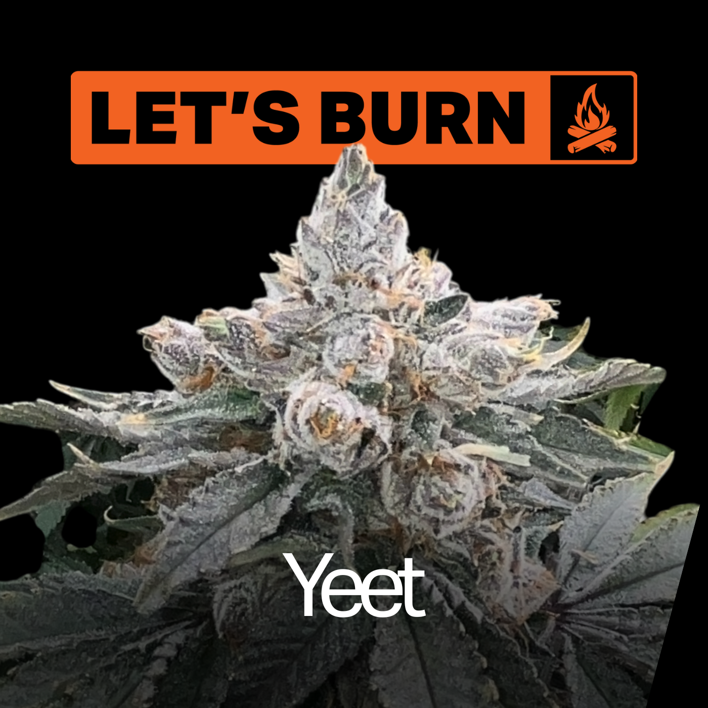 Let's Burn - Yeet (H) Flower  C0200000020 - 1/8oz in Stamford