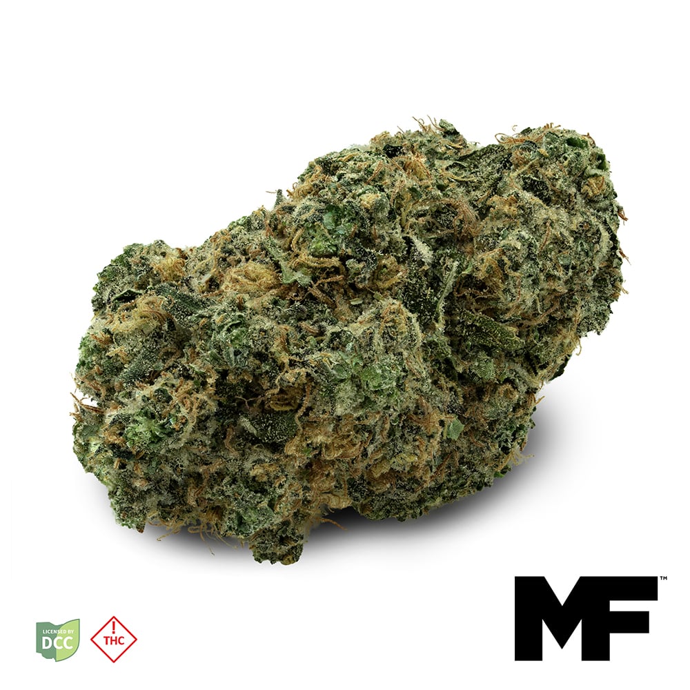 MODERN FLOWER - GELATO 17 - [14.15G] - HYBRID