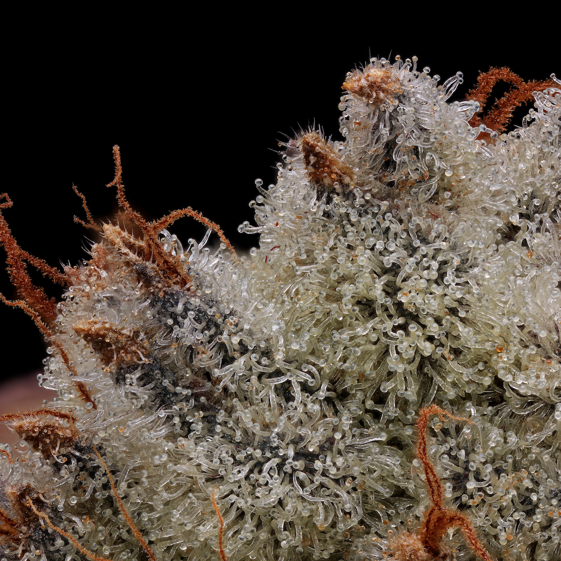 Shop Perfect Pair | Greenside Recreational - Queen Anne, WA Dispensary  Seattle, WA