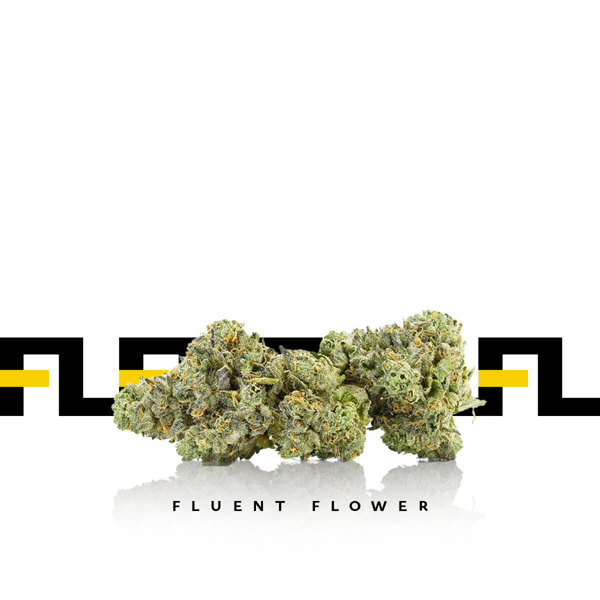 Ice Cream Haze FLUENT Flower Jane