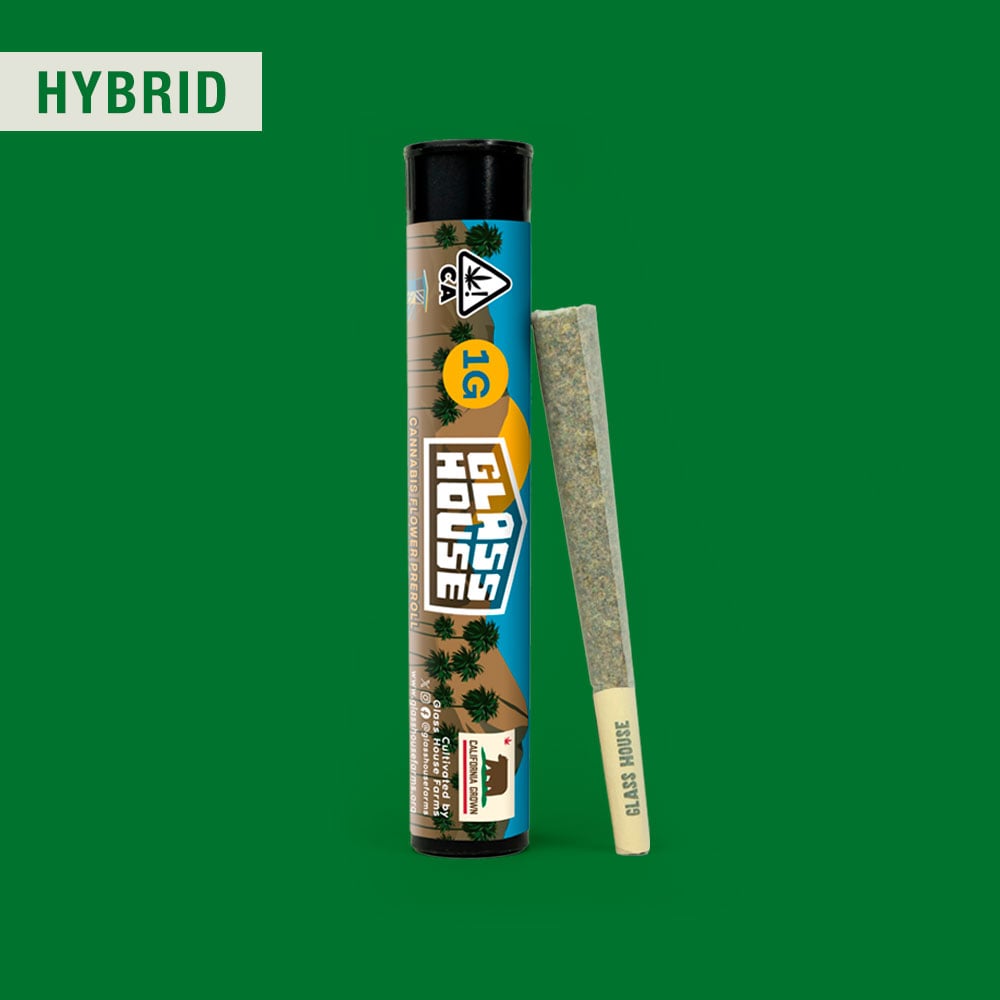 Gelato 41 x Animal Mints