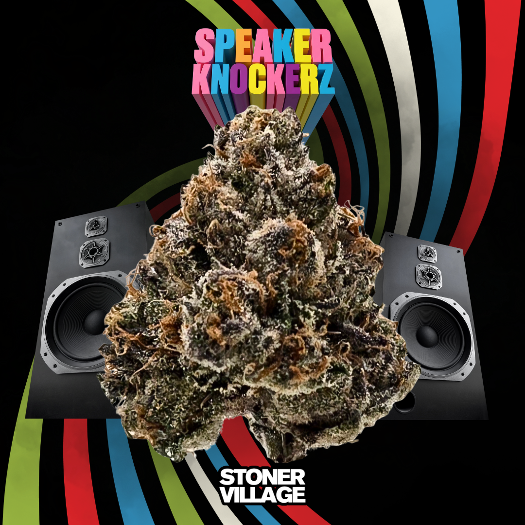 Speaker Knockerz