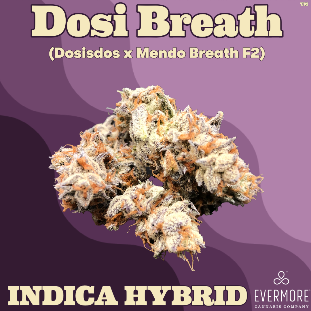 Iron Lung (Medical) Dosidos x Biscotti x Sundae Driver - Weedmaps