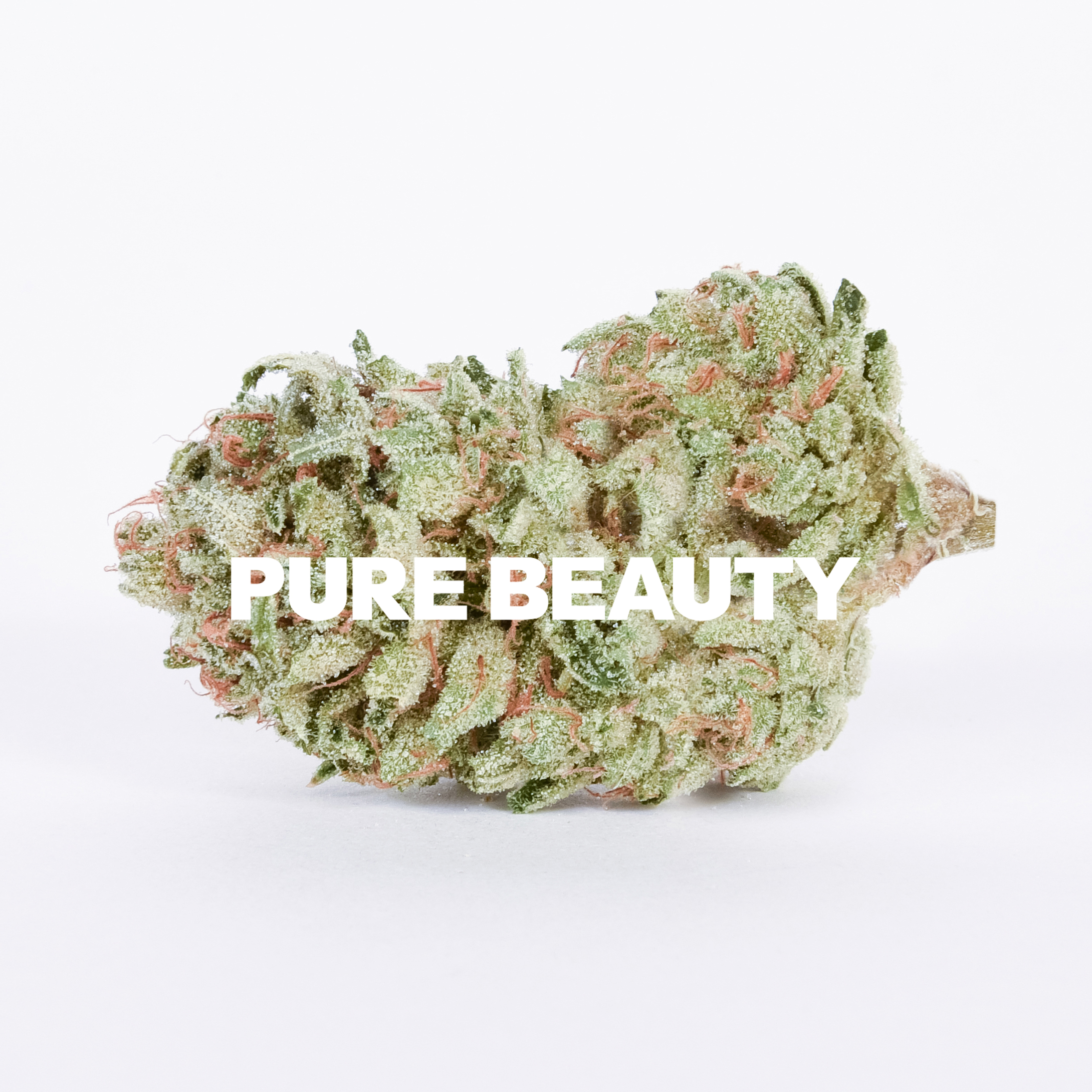 Strawberries & Durban Strawberries & Durban