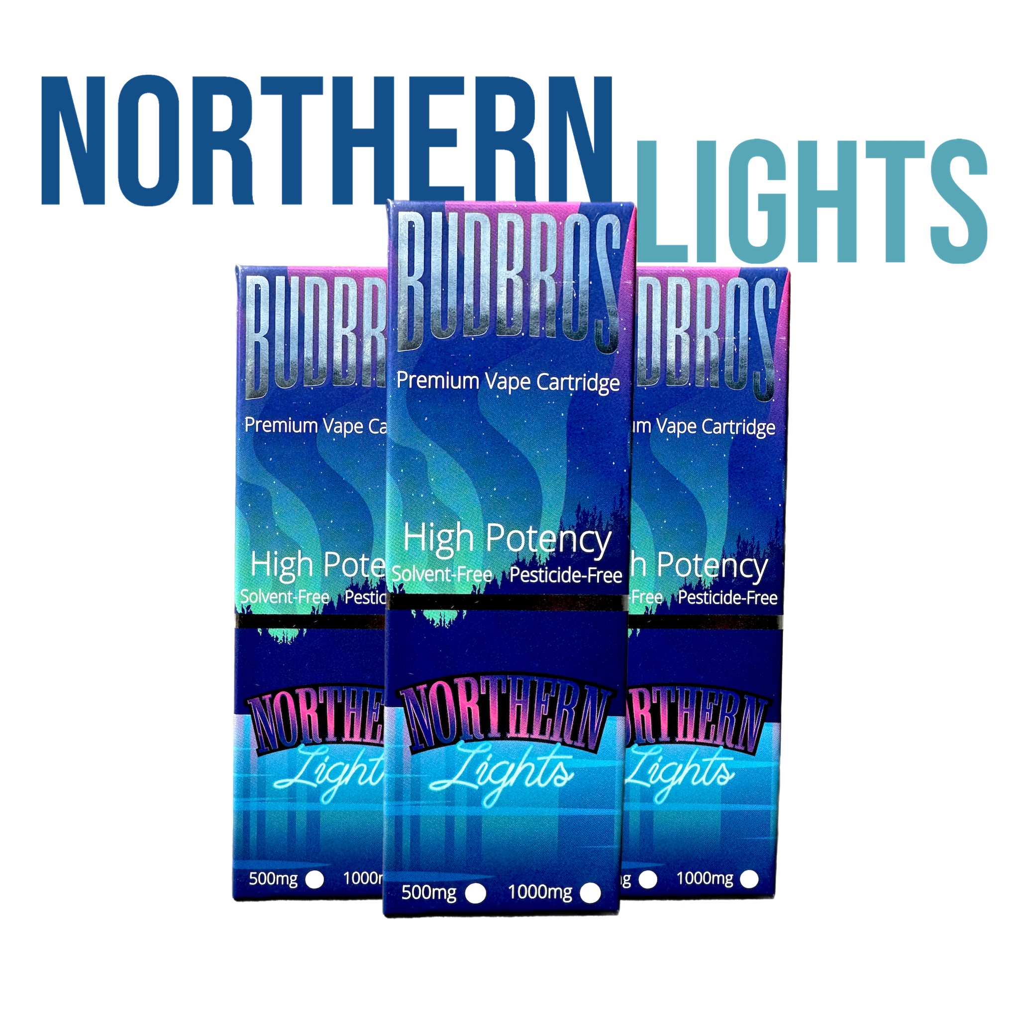 Northern Lights