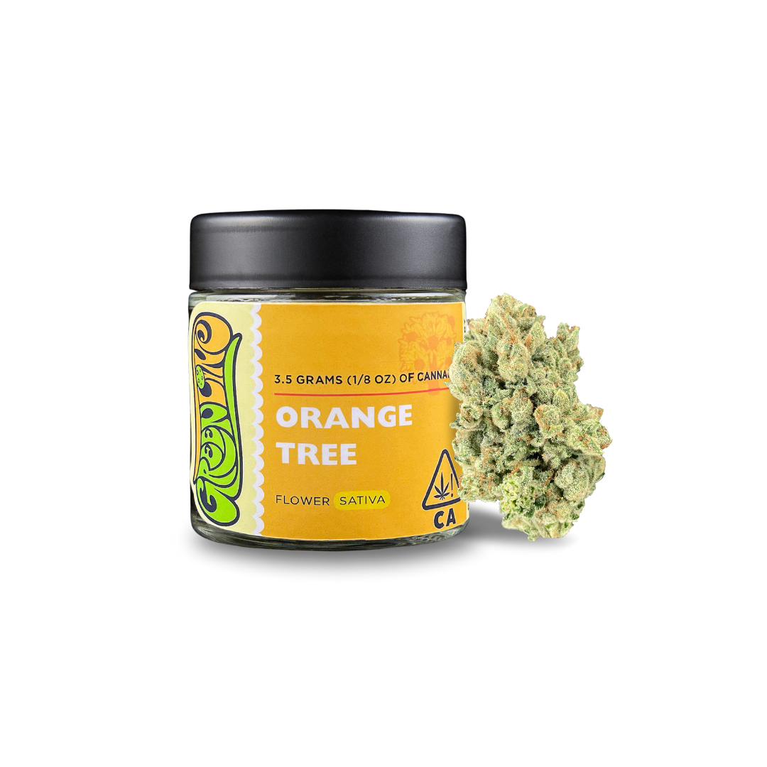 Orange Tree