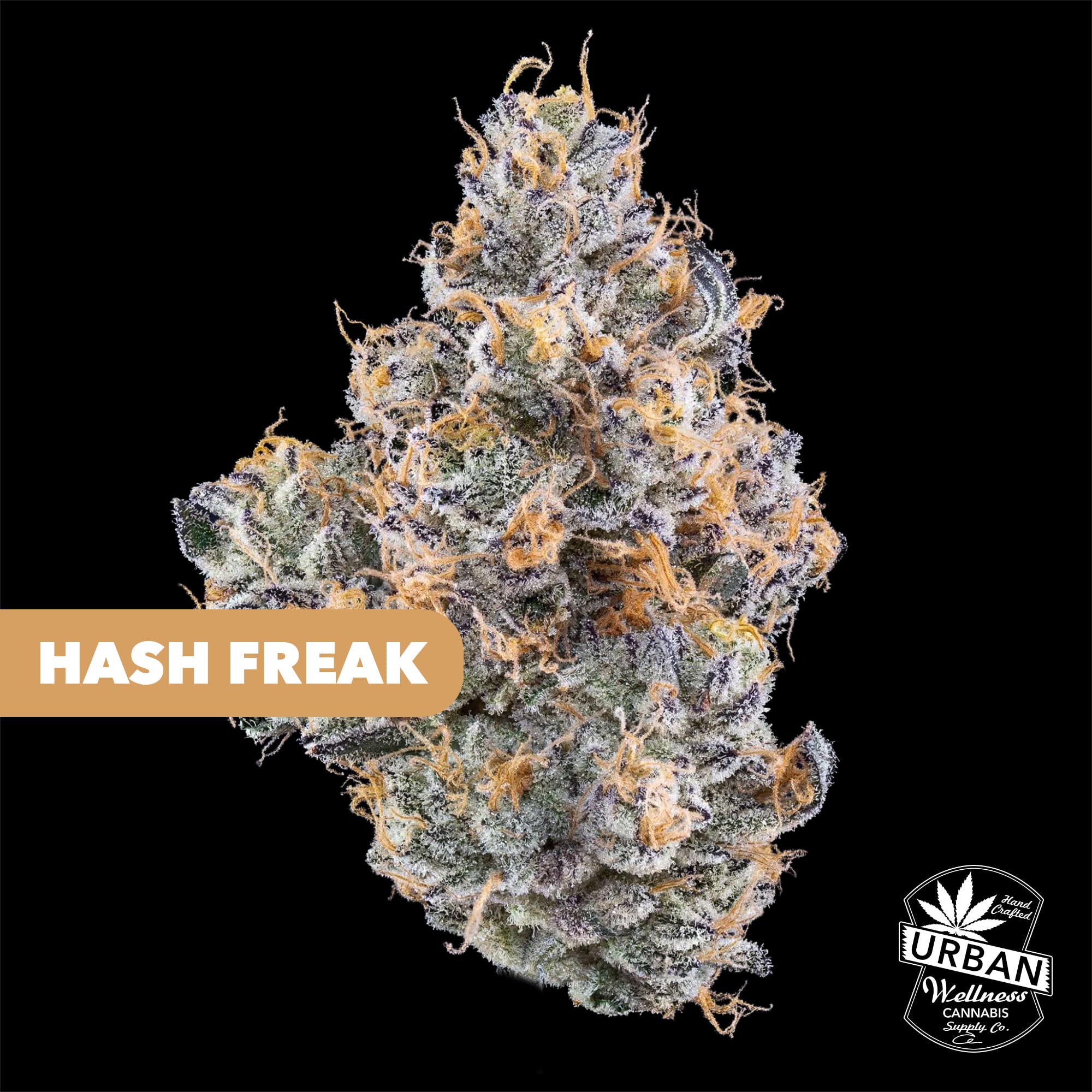 Hash Freak