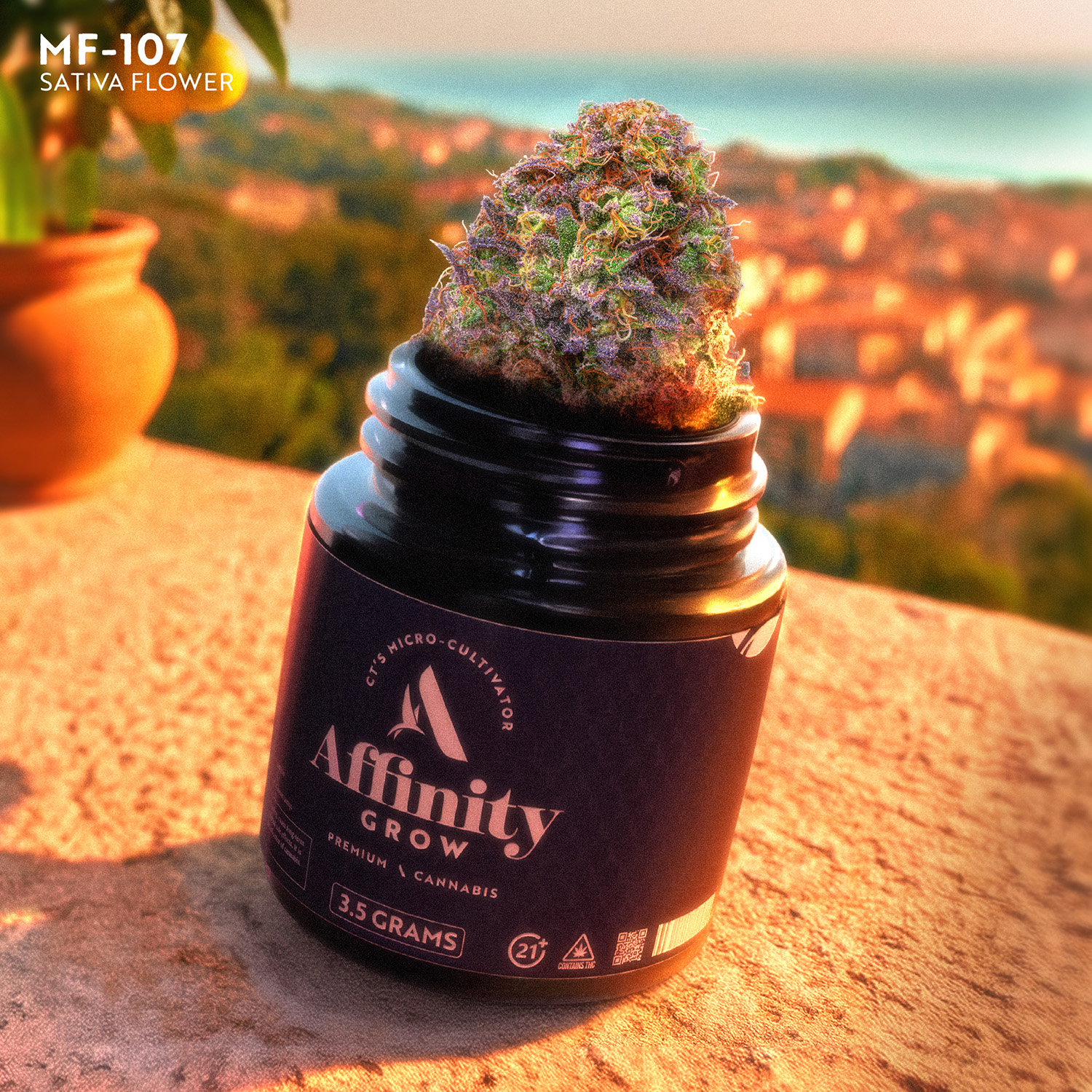 MF-107 Flower T27.83% S 00837