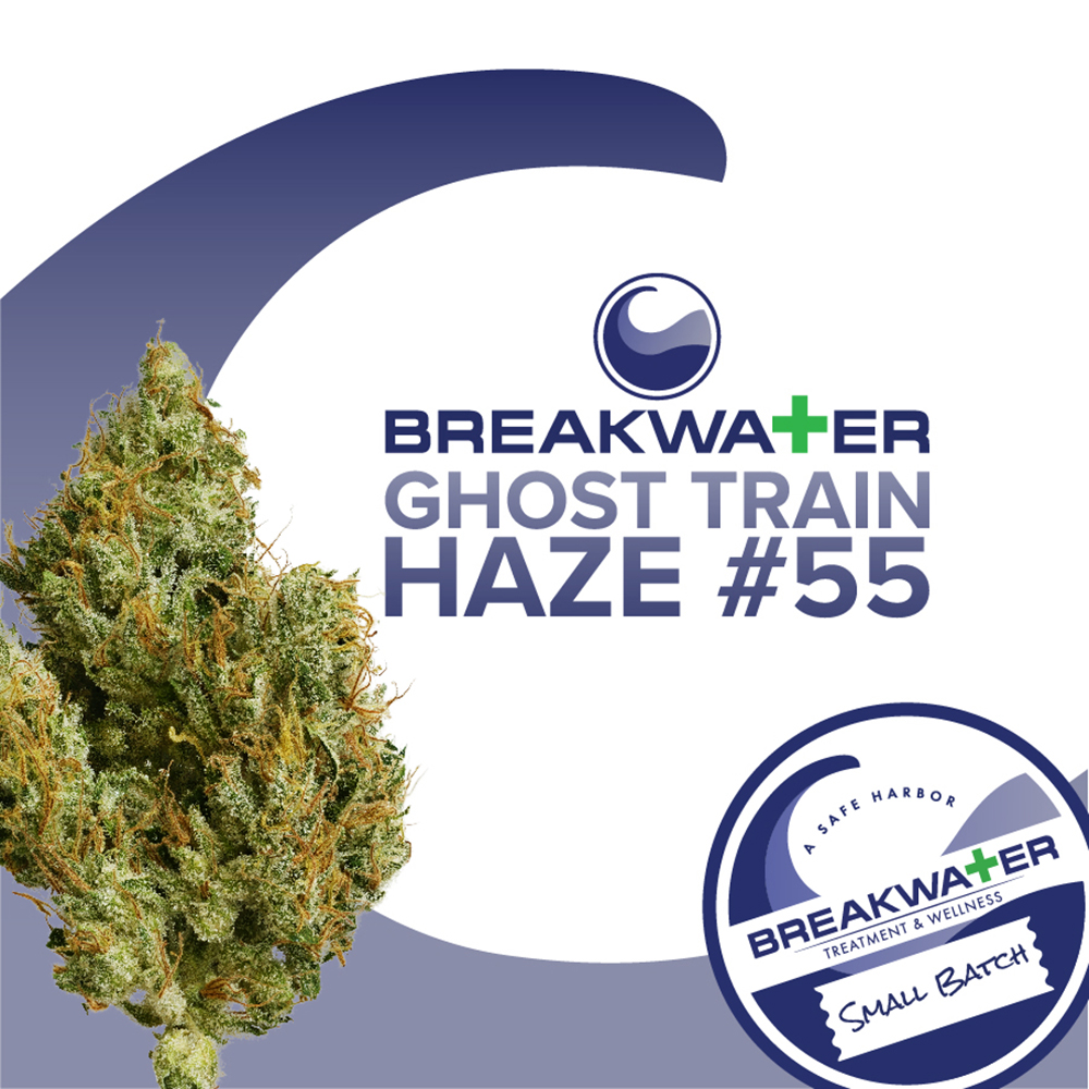 Ghost Train Haze 55 Breakwater Premium Bud Jane