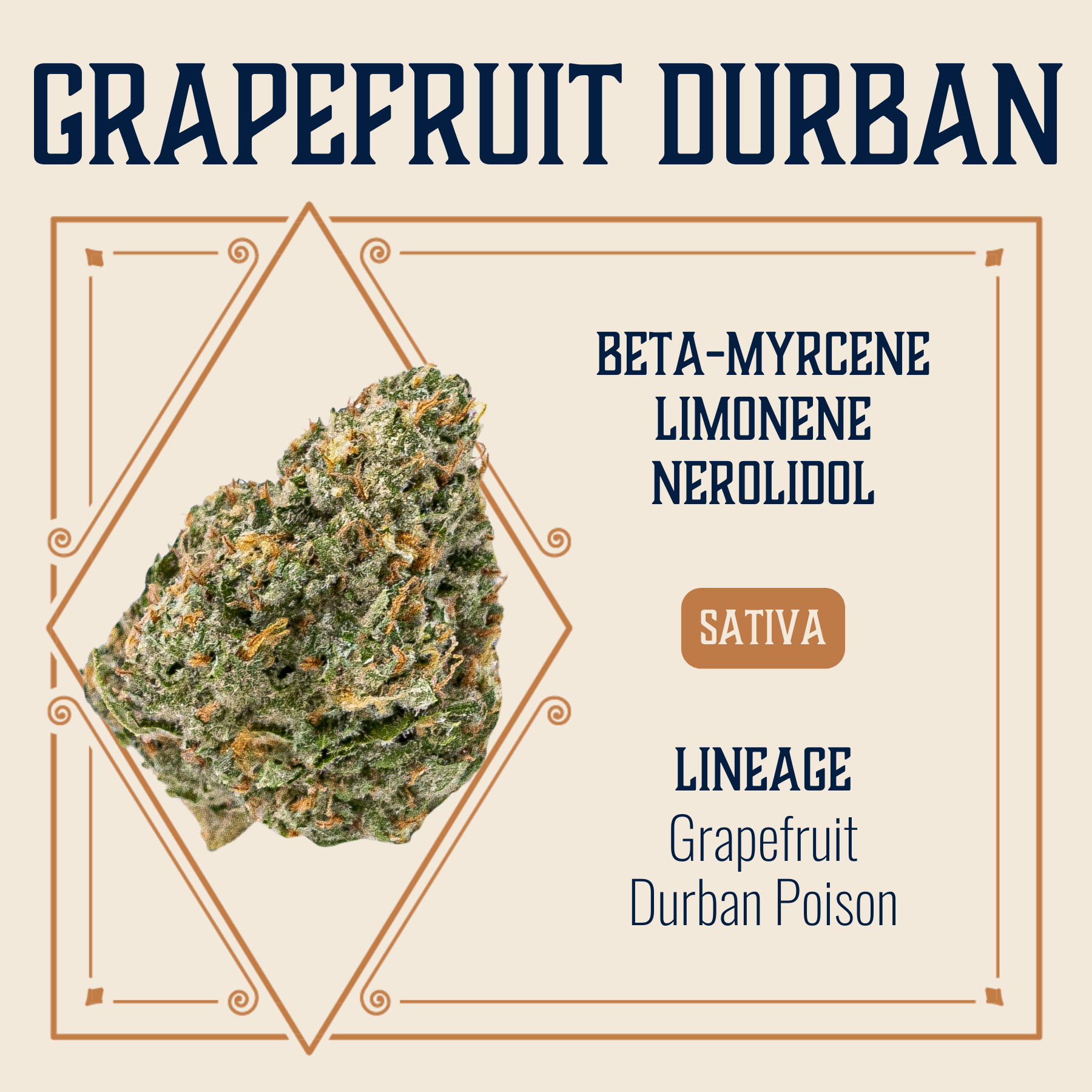 Grapefruit Durban