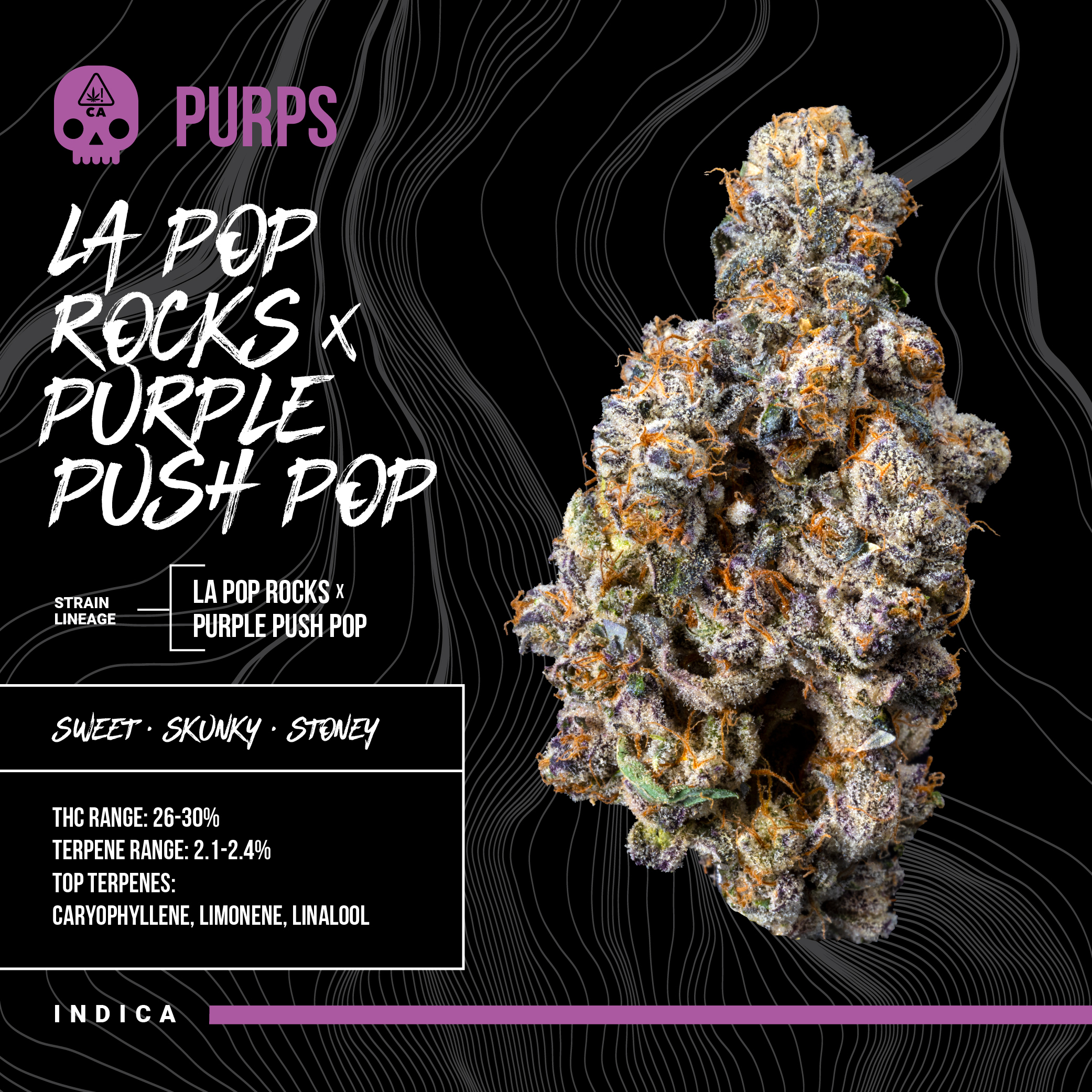 Shop LA Pop Rocks x Purple Push Pop | Haze Dispensary - Saratoga