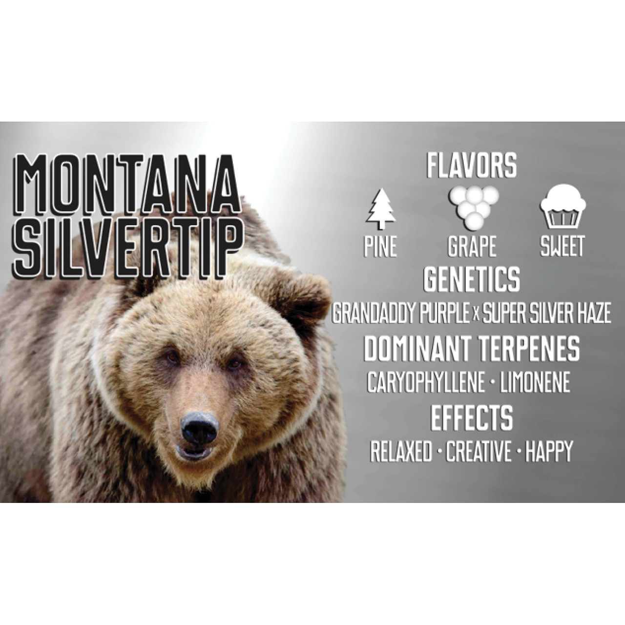 Montana Silvertip