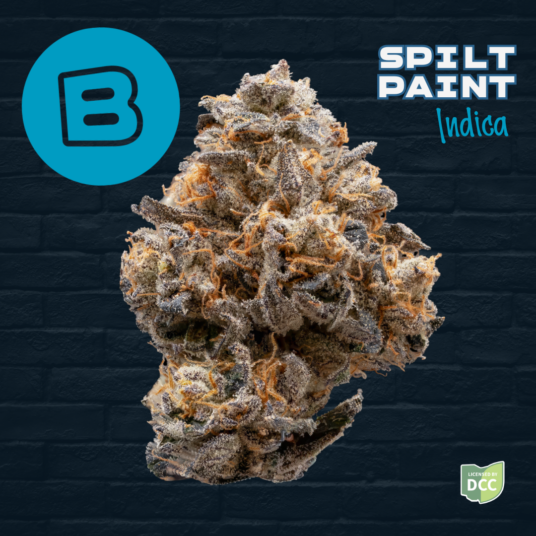 RELIEF - SPILT PAINT  INDICA