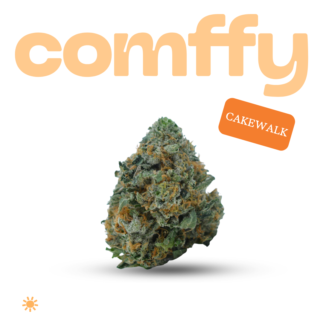 comffy - Cakewalk (S) Flower