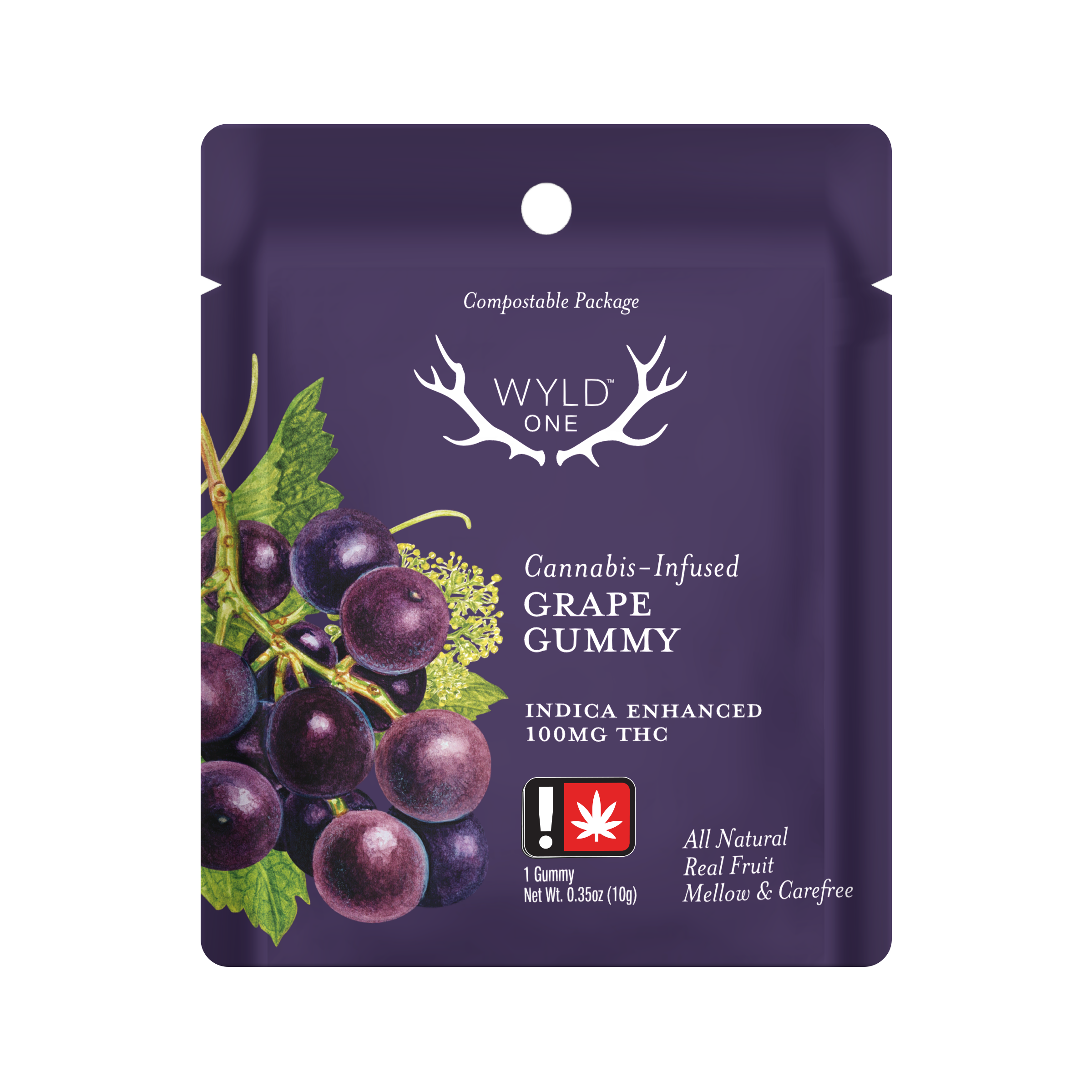 Wyld ONE: Grape Indica Gummy | 100mg