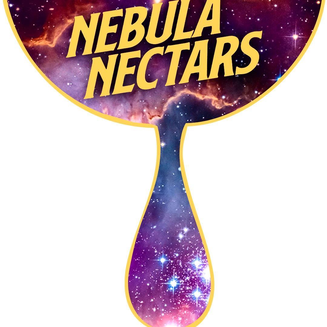 2:1 Elderberry {100mg} | (10mg:5mg each capful)