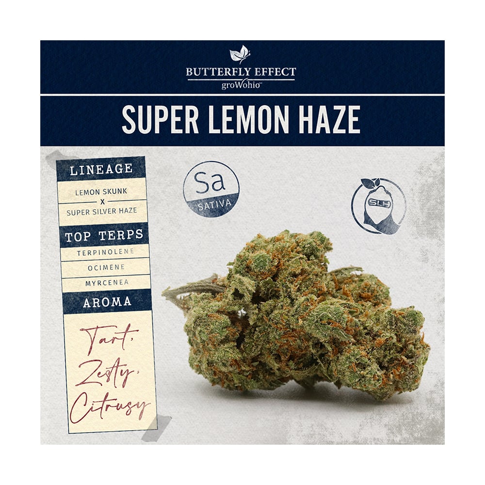 Super Lemon Haze Butterfly Effect Jane