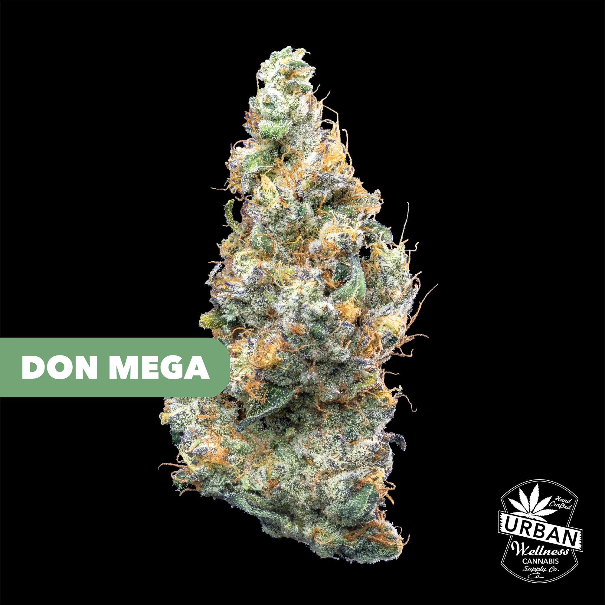 Don Mega