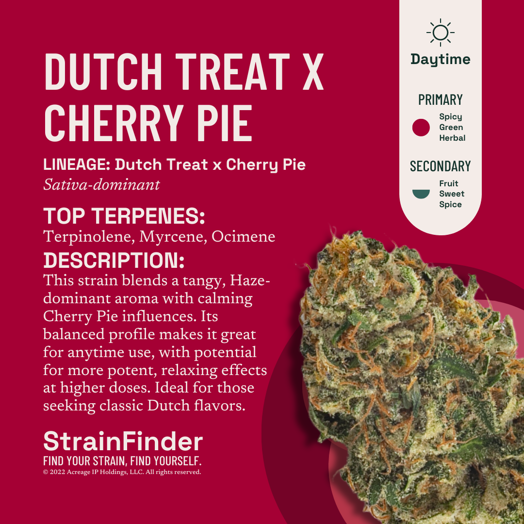 Shop Dutch Treat x Cherry Pie | The Dispensary - Champaign