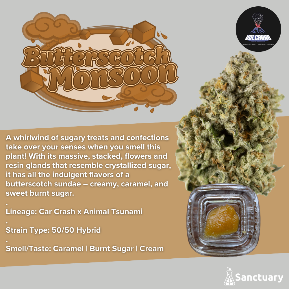 Sauce Butterscotch Monsoon