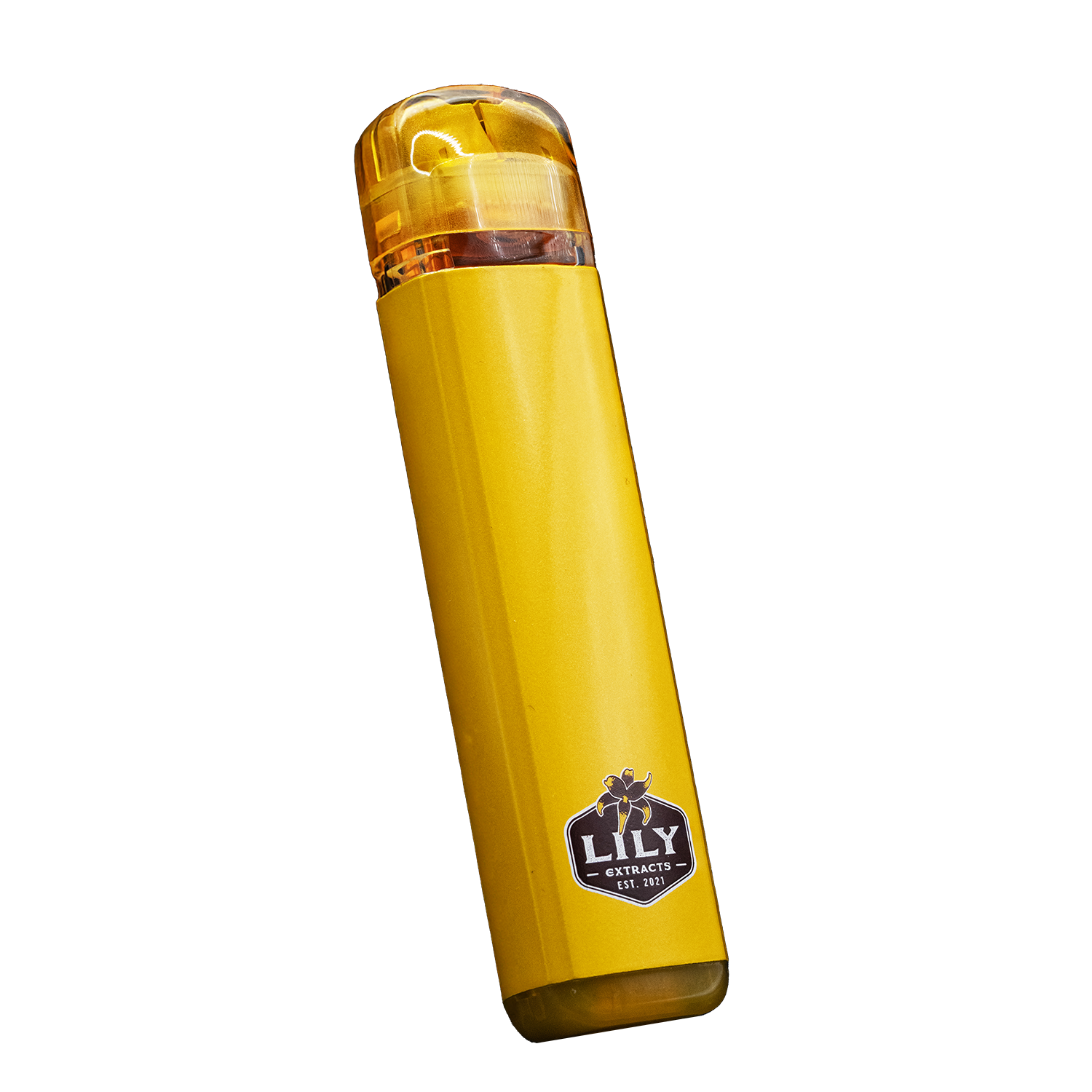 The Fizz [500mg]