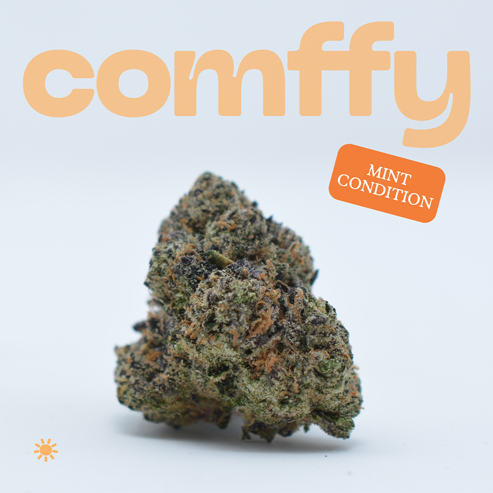 Comffy - Mint Condition (S) Flower  C0140000055