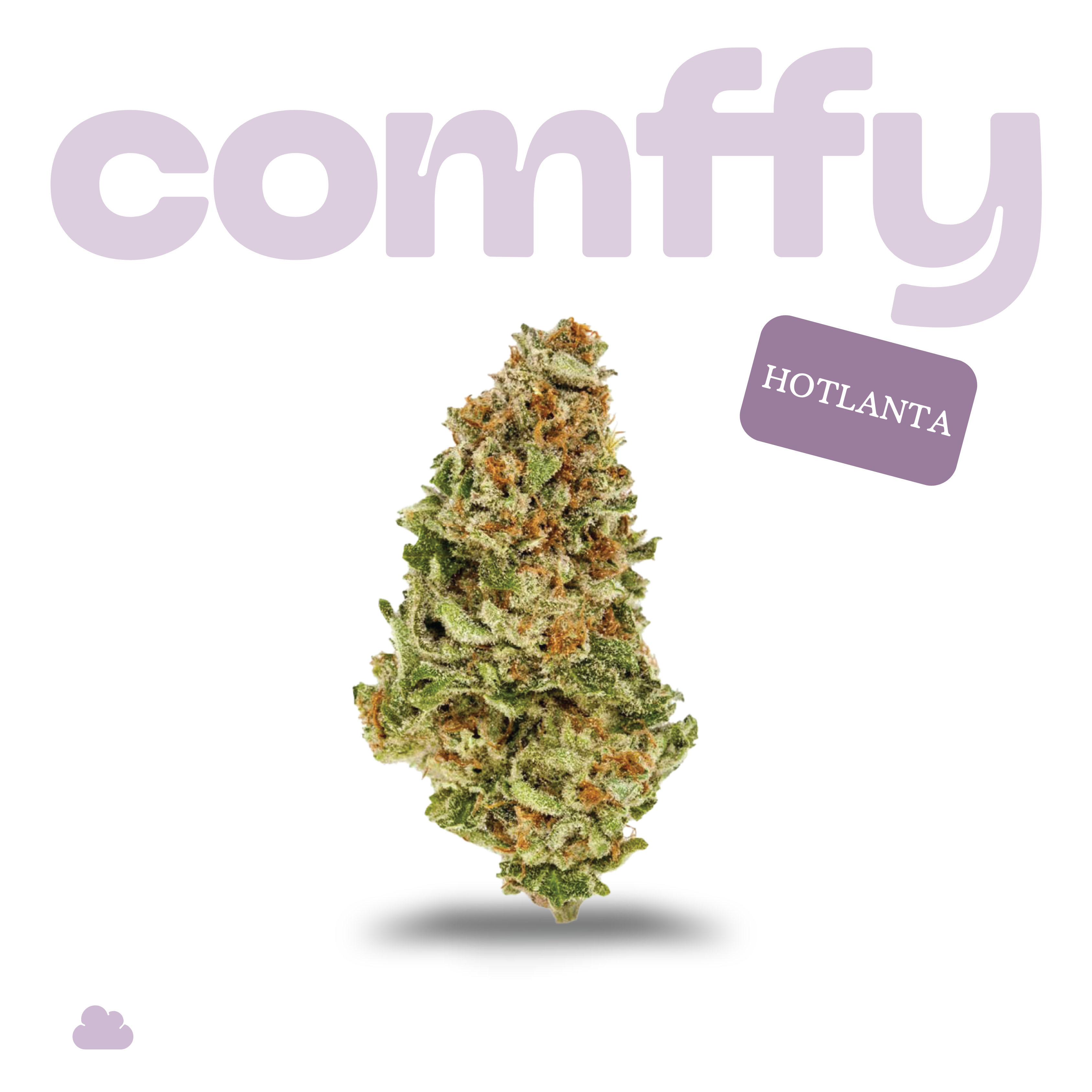 comffy - Hotlanta (I) Flower