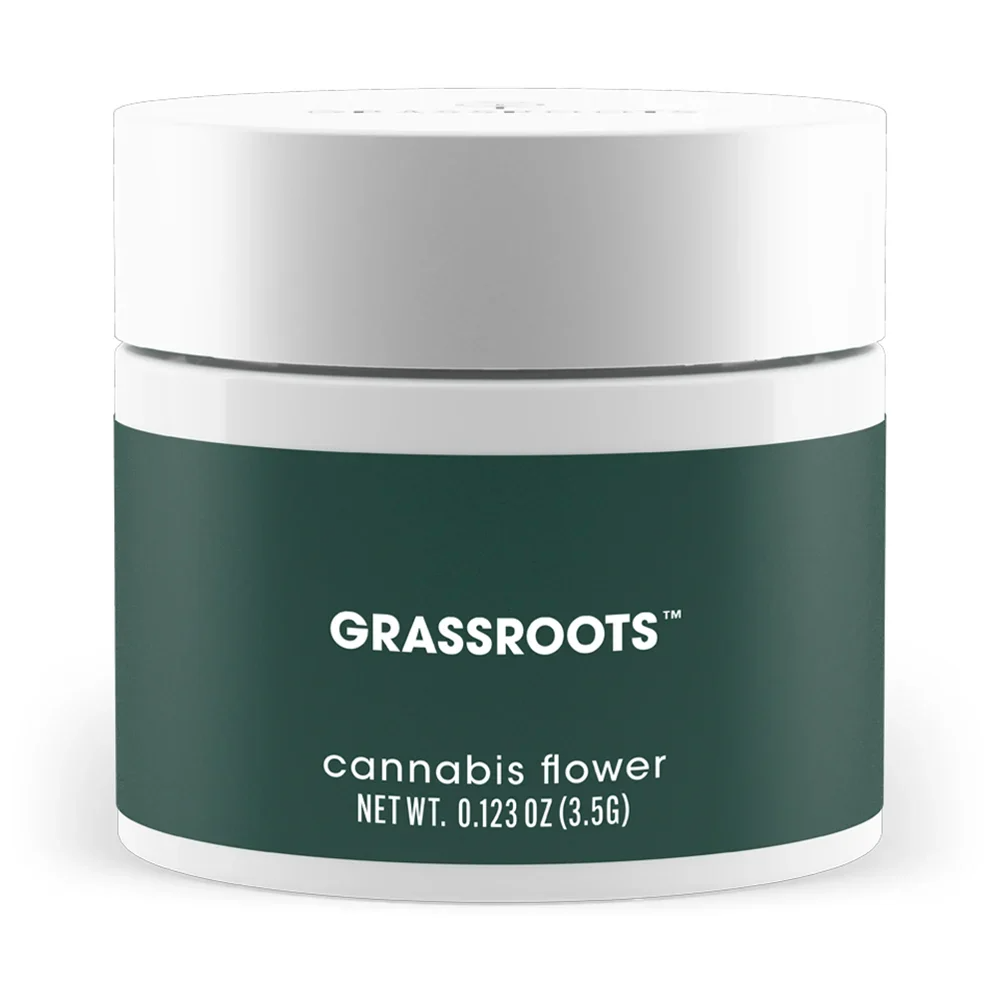 Grassroots - Jayna's Sunshine (H) Flower C0030001619 Grassroots - Jayna's Sunshine (H) Flower C0030001619