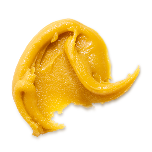Gushers 1ml フルガラスCNP THXE H4CBH CRDH2 Amazon | ブリックスCHO フルガラス 1.0ml シルバーカラー