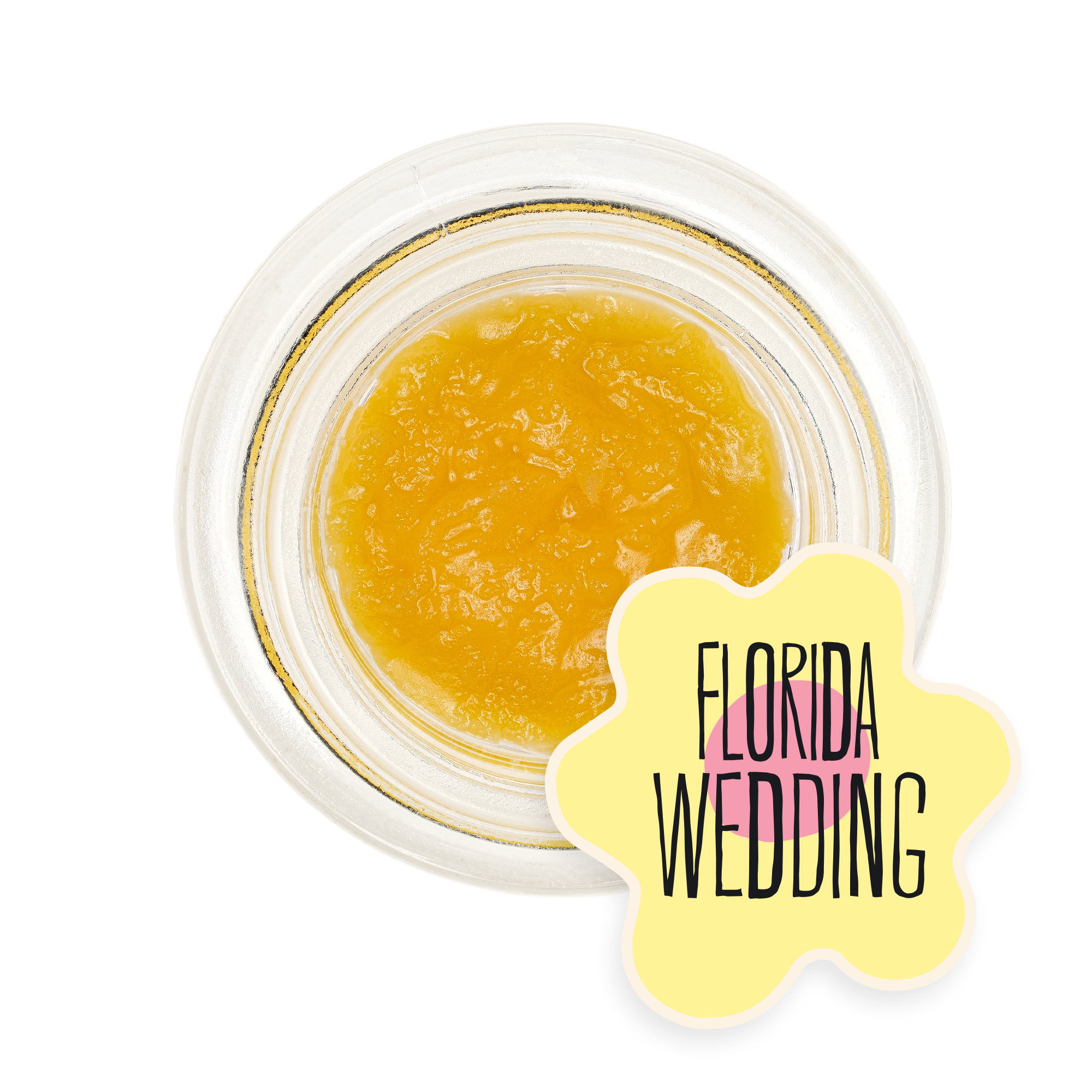 Florida Wedding