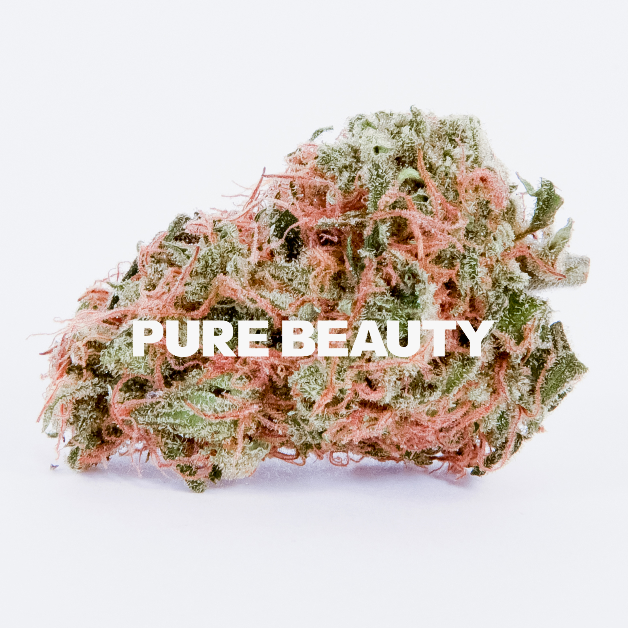 2:1 Berry Preserve CBD 2:1 Berry Preserve CBD