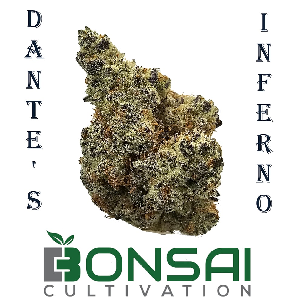 Dante's Inferno