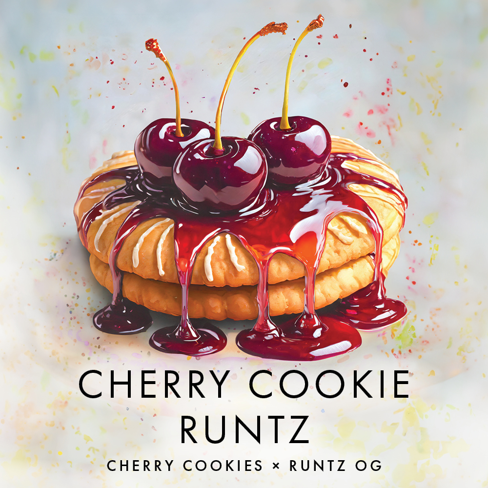 Cherry Cookie Runtz [2.83g] | The Standard | Flower - Jane