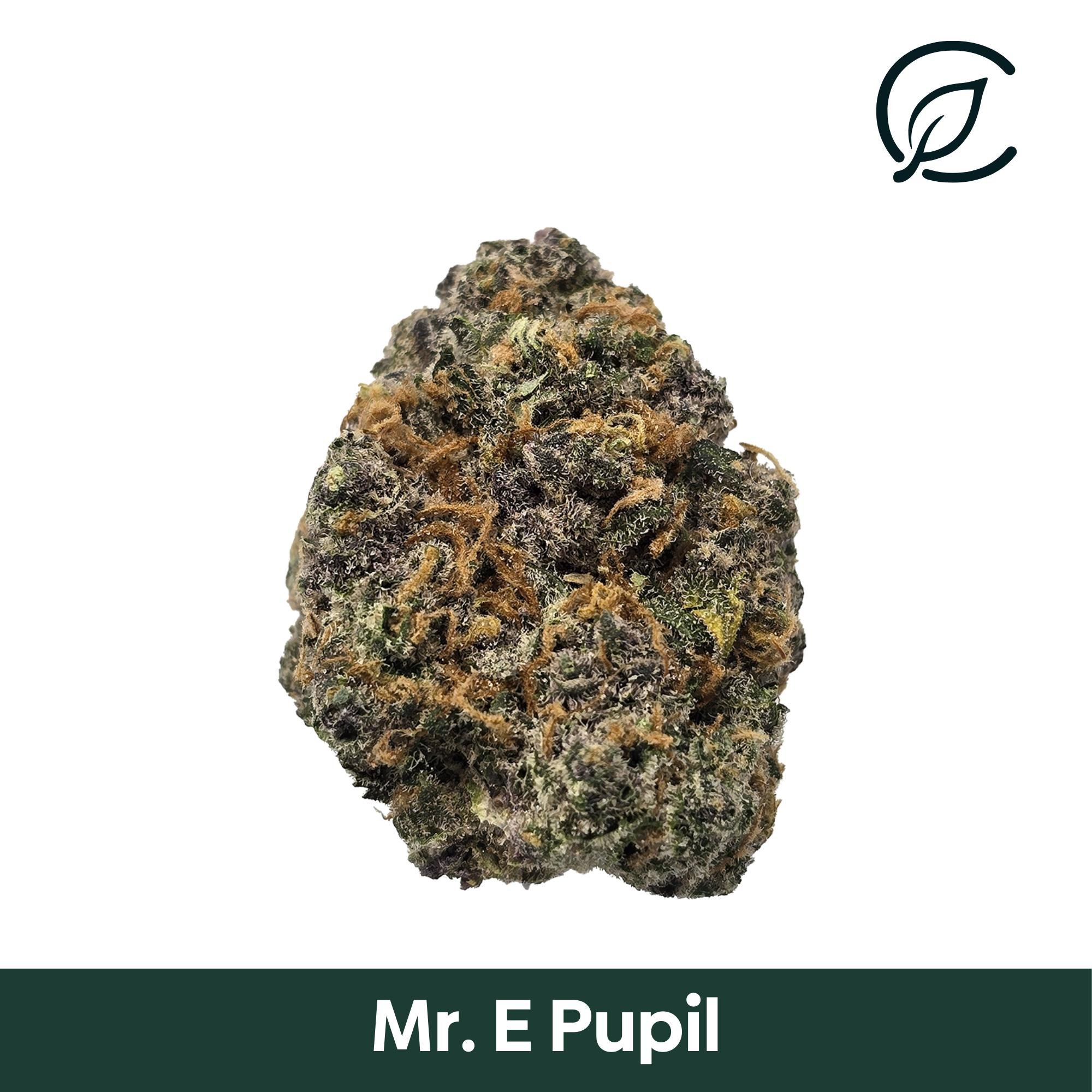 Curaleaf - Mr E Pupil (S) Flower  C0030000943