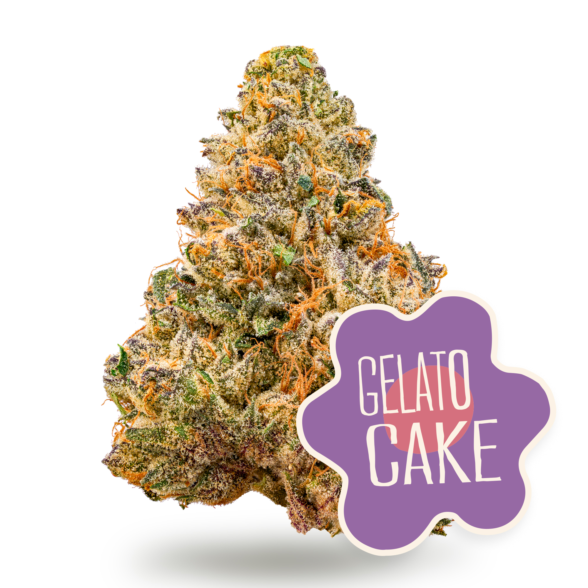 Gelato Cake