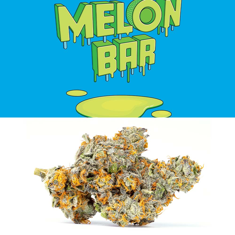 Melon Bar