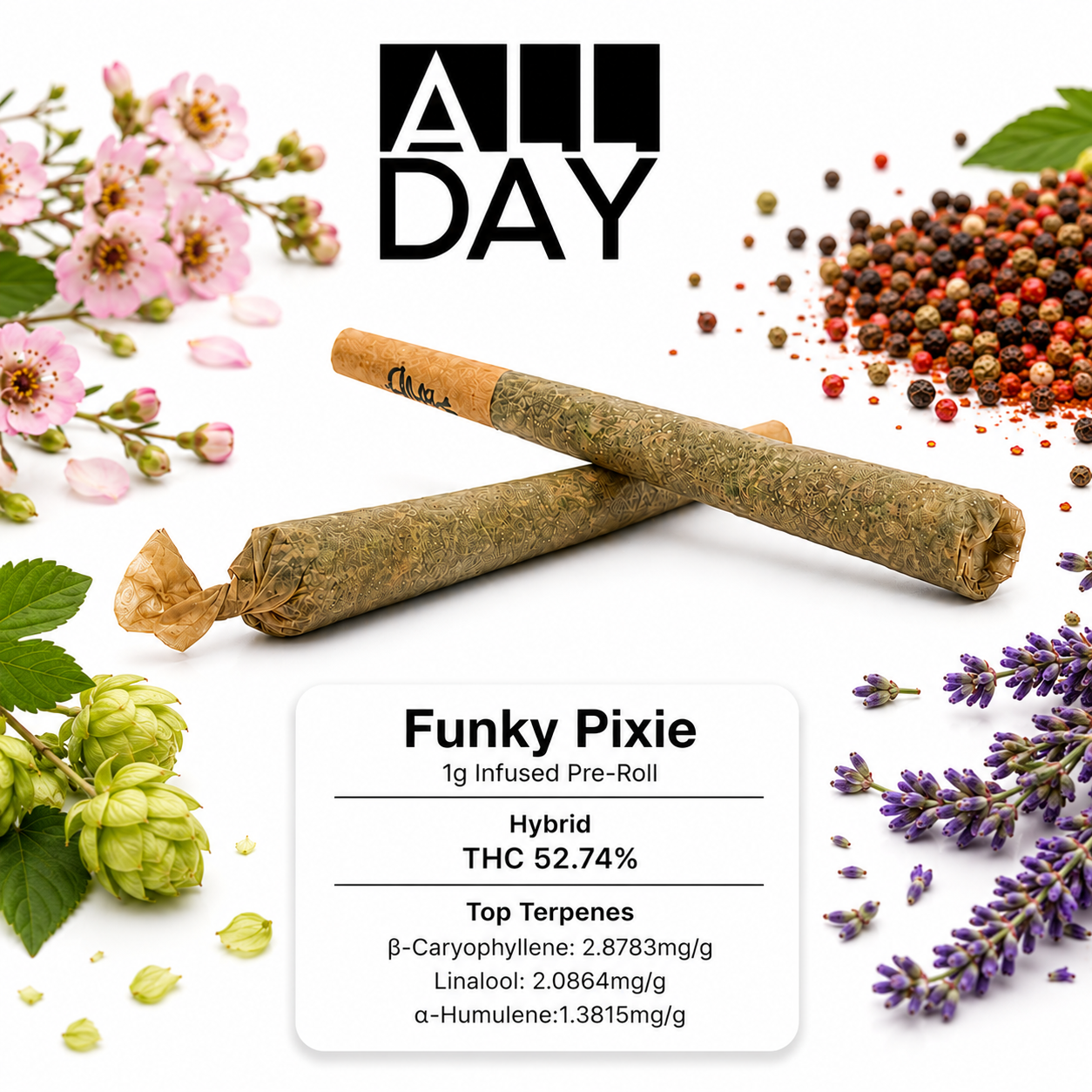 Funky Pixie [1g]