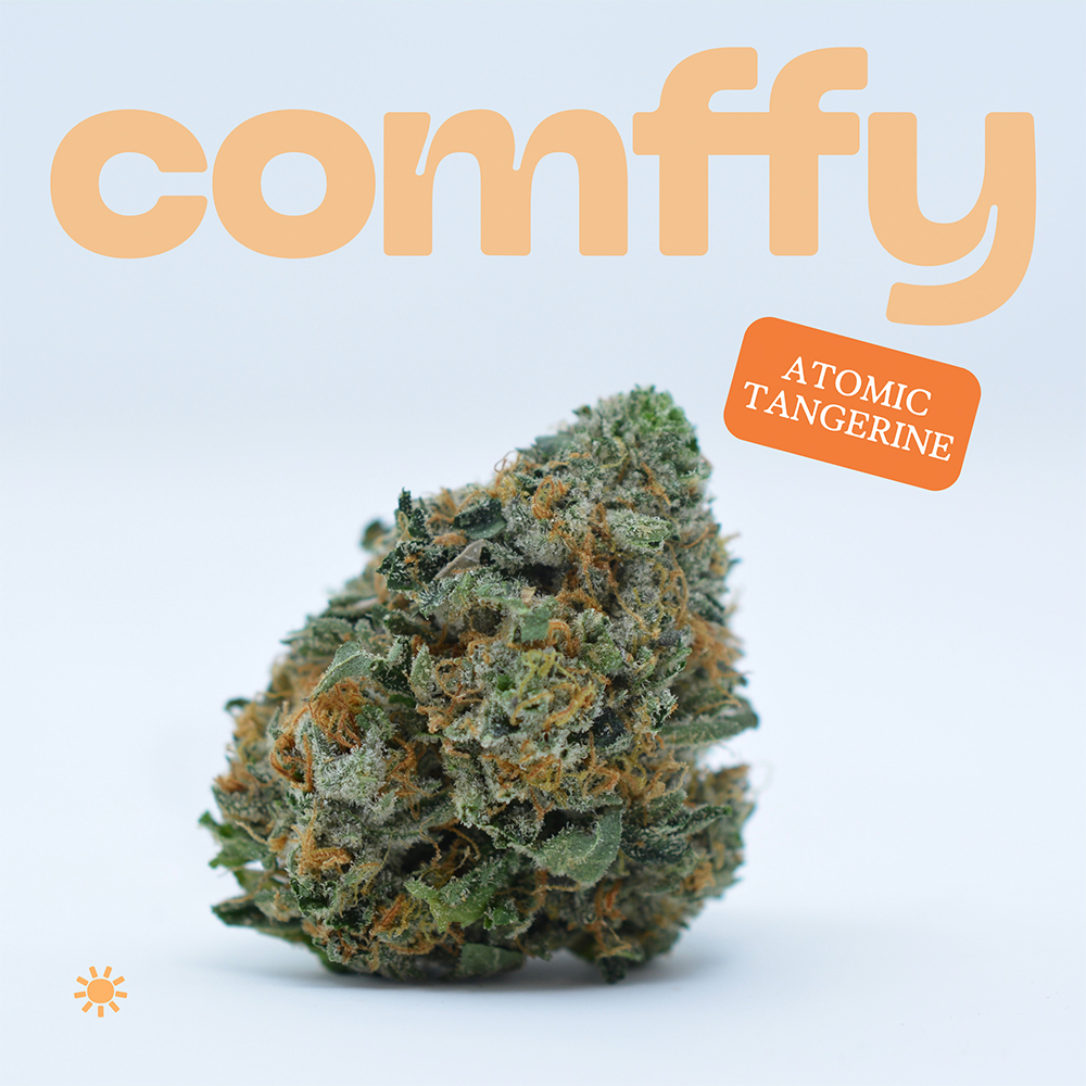 Comffy - Atomic Tangerine (S) Flower  C0140000043