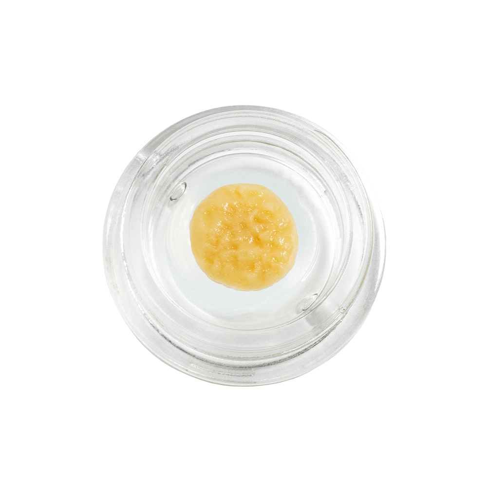 Rose Gold Runtz | RYTHM | Tier 1 Live Rosin (Solventless