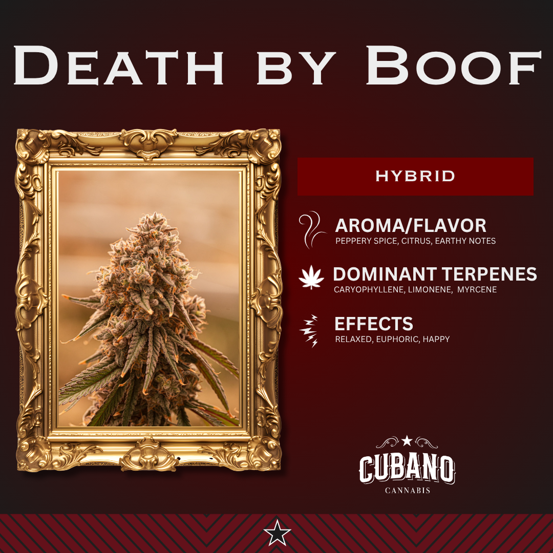 Death