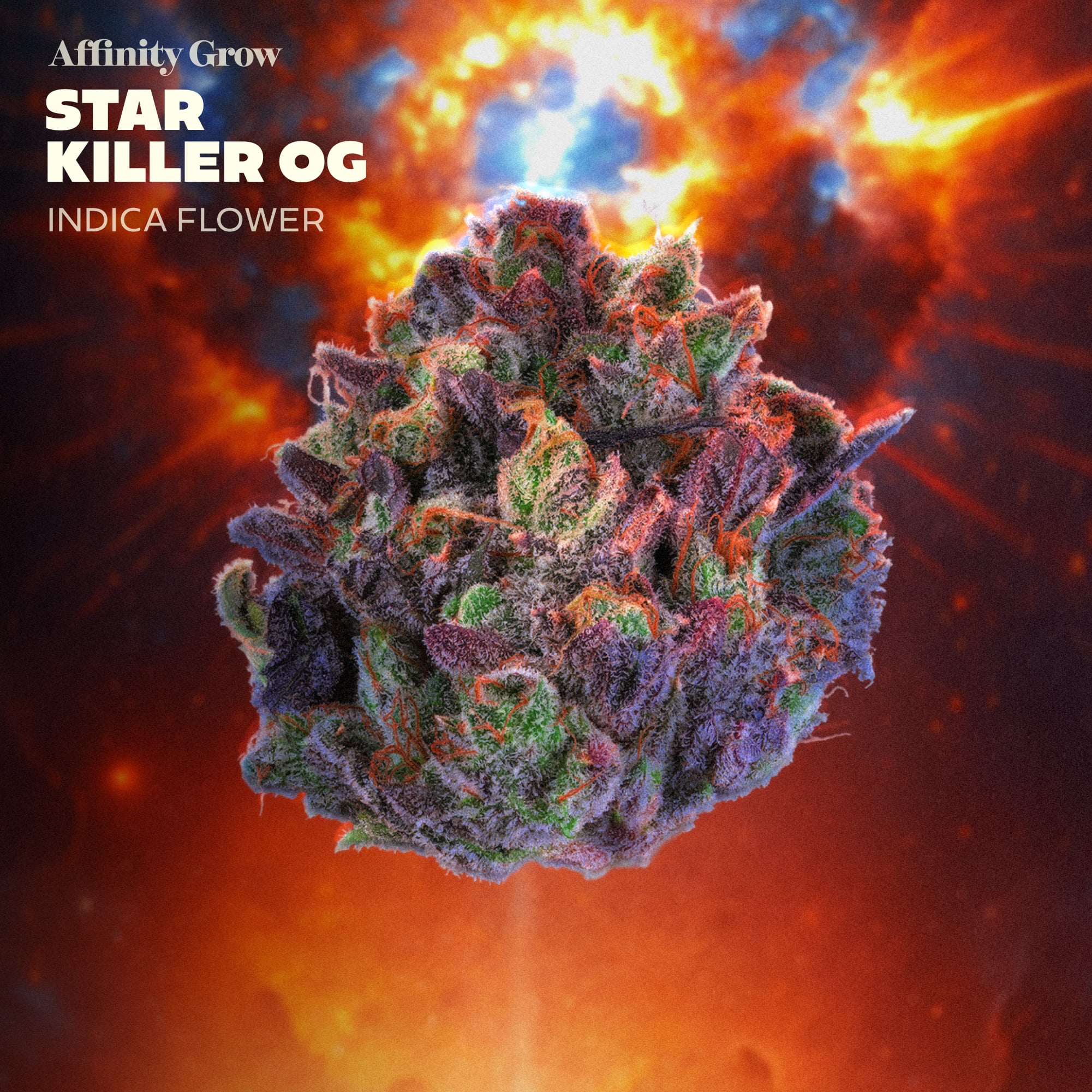 Affinity Grow - Starkiller OG (I) Flower  C0090001063