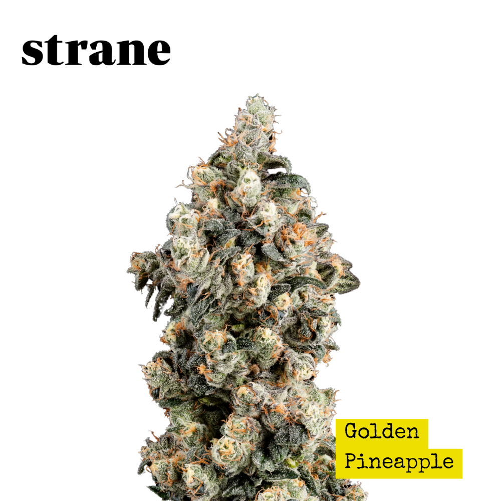 Golden Pineapple