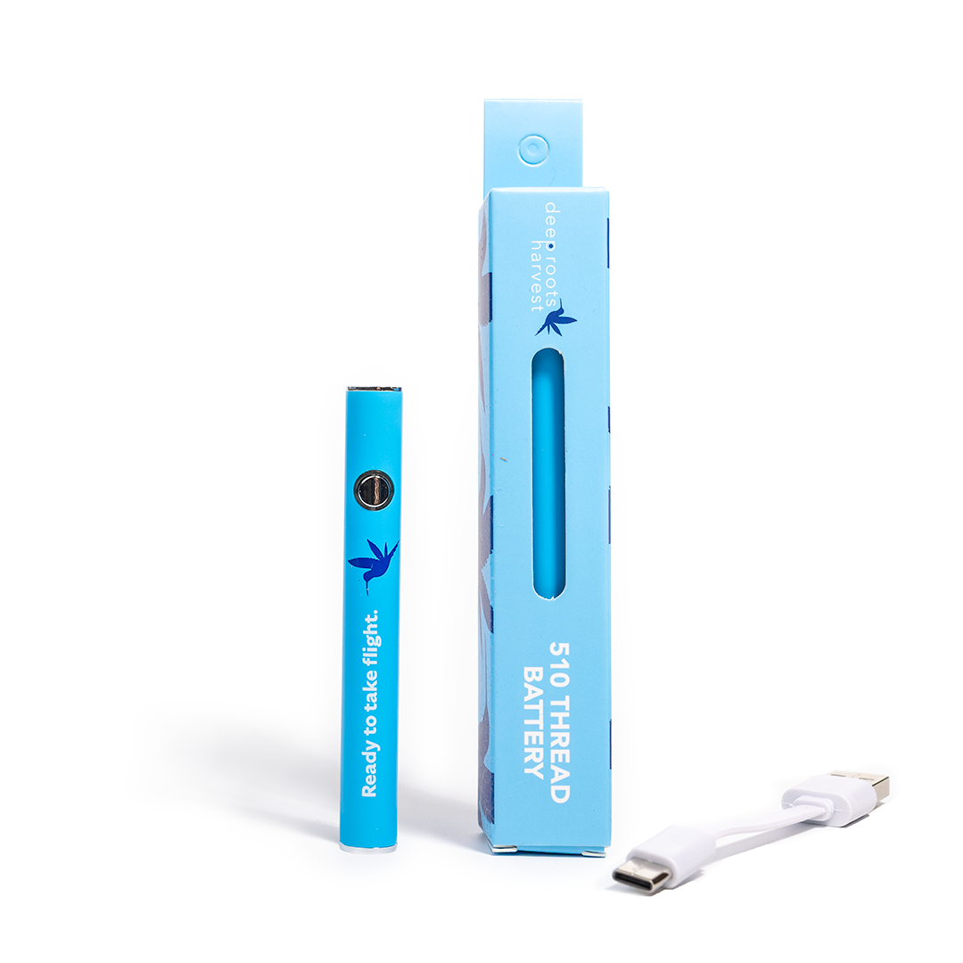 Stick Battery - Black/Blue