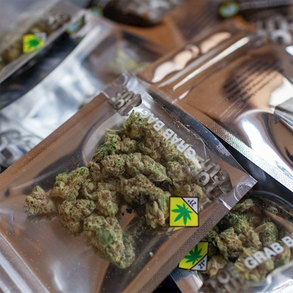 Weekend at Gary's Top Cut Grab Bag Jane