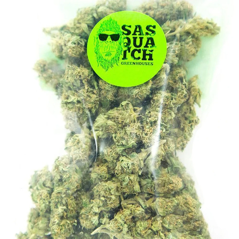 Northern Lights #2