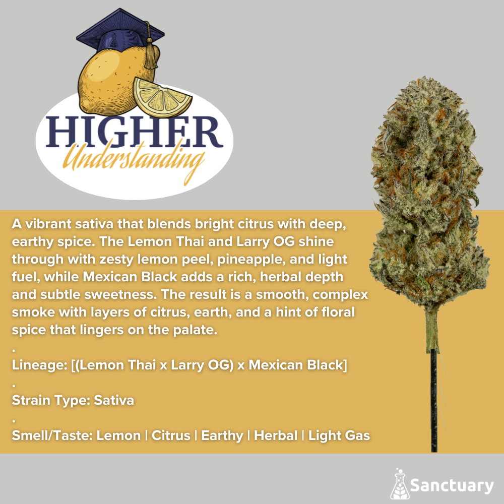 Whole Buds - Higher Understanding